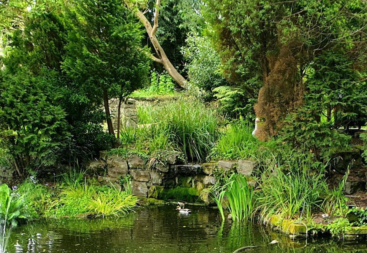 Tranquil & Unique Villa On The Uk'S Sunniest Place Ratton Exteriör bild